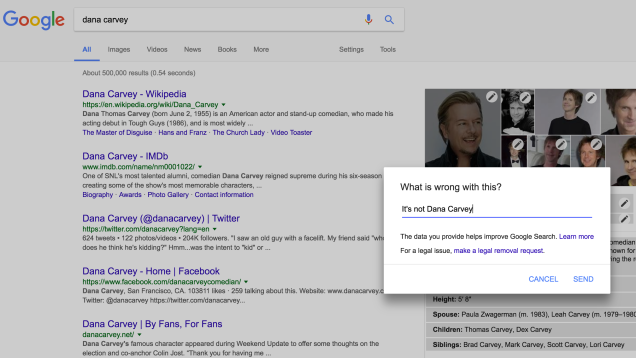 See an Incorrect Google Result? Here’s How to Fix  It